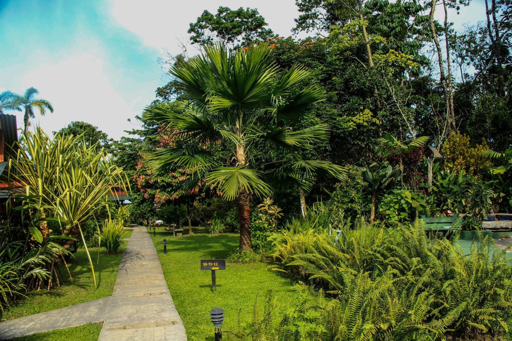 Catarata Eco Lodge La Fortuna Szoba fotó