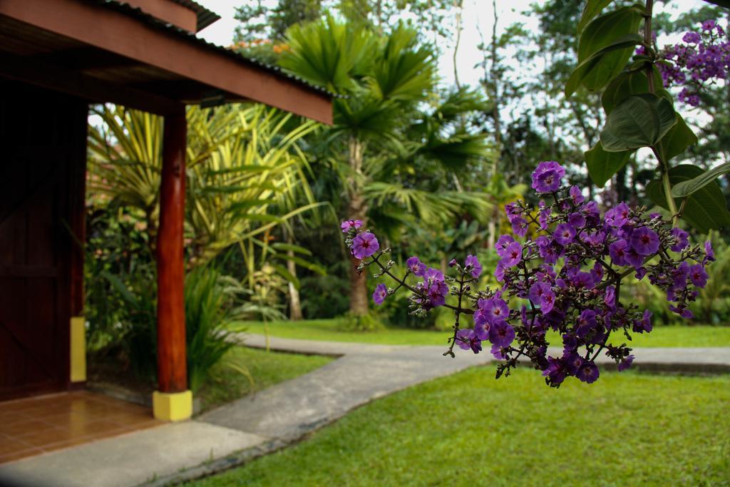Catarata Eco Lodge La Fortuna Kültér fotó