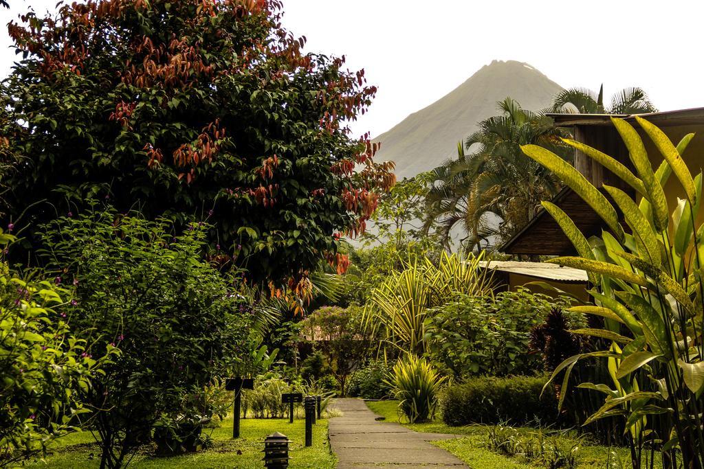 Catarata Eco Lodge La Fortuna Kültér fotó
